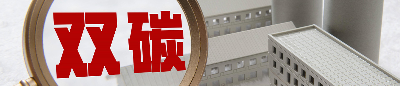 雙碳治理